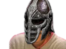 :Skyrimgarde: