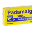 PADAMALGAM500mg