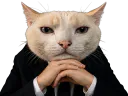 :ChatPenseur: