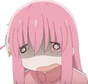 :Bocchibruh:
