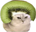 :chatbrushingkiwi: