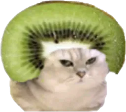 :chatbrushingkiwi: