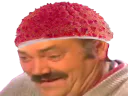 :Litchi: