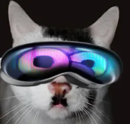 :chatvr: