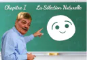 :Selection-onchoise: