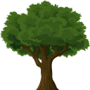 Rebeusolide