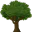 Photo de profil de Rebeusolide