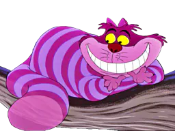 :Cheshire: