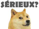 :shiba_serieux: