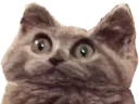 :chat_limbo: