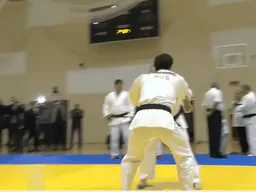 :Judo: