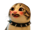 :chat_marrant_cash: