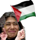 :Rima_Hassan_Palestine: