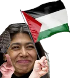 :Rima_Hassan_Palestine:
