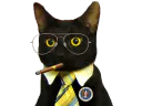 :CIA_CAT2: