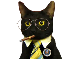 :CIA_CAT2: