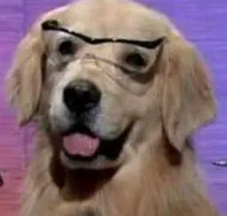 :goldenwhat: