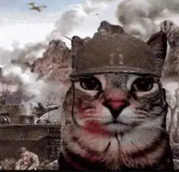 :Chat_ptsd: