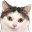 Photo de profil de Homies