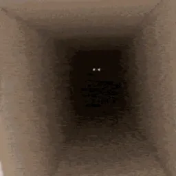 :Chat_maliceuse: