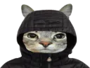 :CS_Capuche: