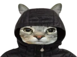:CS_Capuche: