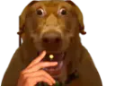 :Clope-TARAXv2: