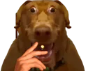 :Clope-TARAXv2: