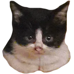 :Prunellerond: