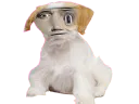 :Bourdon_Distorsion: