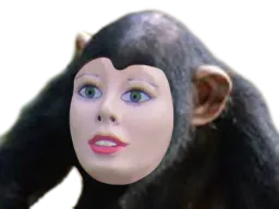 :doll_singe: