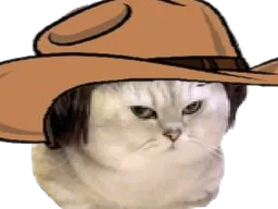 :chatcowboy:
