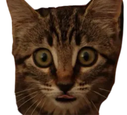 :Chat_lagertha17_: