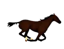 :cheval_galop: