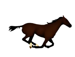 :cheval_galop: