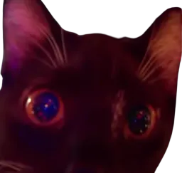 :Zoomy: