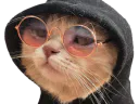 :Chatblase: