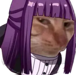 :Chat_fern: