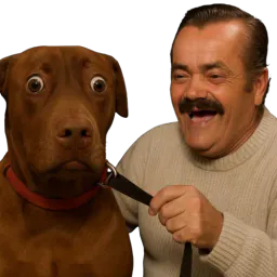 :teddirisitas: