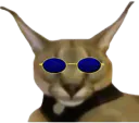 :Igoed_Notreadyent: