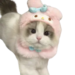 :chatmimi: