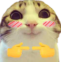 :chat_marrant_timide:
