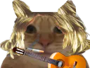 :kurtcat: