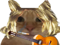 :kurtcat: