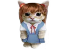 :chatsuka: