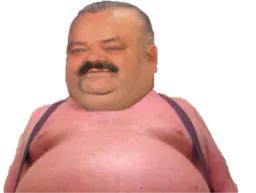 :gros_porc: