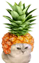 :chatbrushingananas: