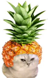 :chatbrushingananas: