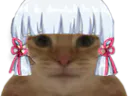 :chat_kj: