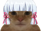 :chat_kj: